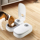 Dispenser Automático para Cães e Gatos | Inteligente