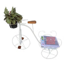 Bicicleta Decorativa de Ferro Rústica Branca | Jardim