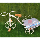 Bicicleta Decorativa de Ferro Rústica Branca | Jardim